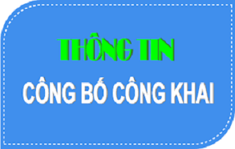 Công khai thực hiên dự toán thu - chi;  Quý 2 - 2024